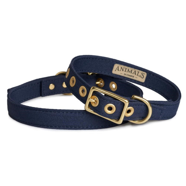 All Weather Dog Collar Navy (XL)