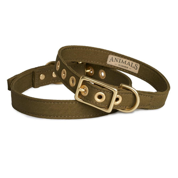 All Weather Dog Collar Olive (M)