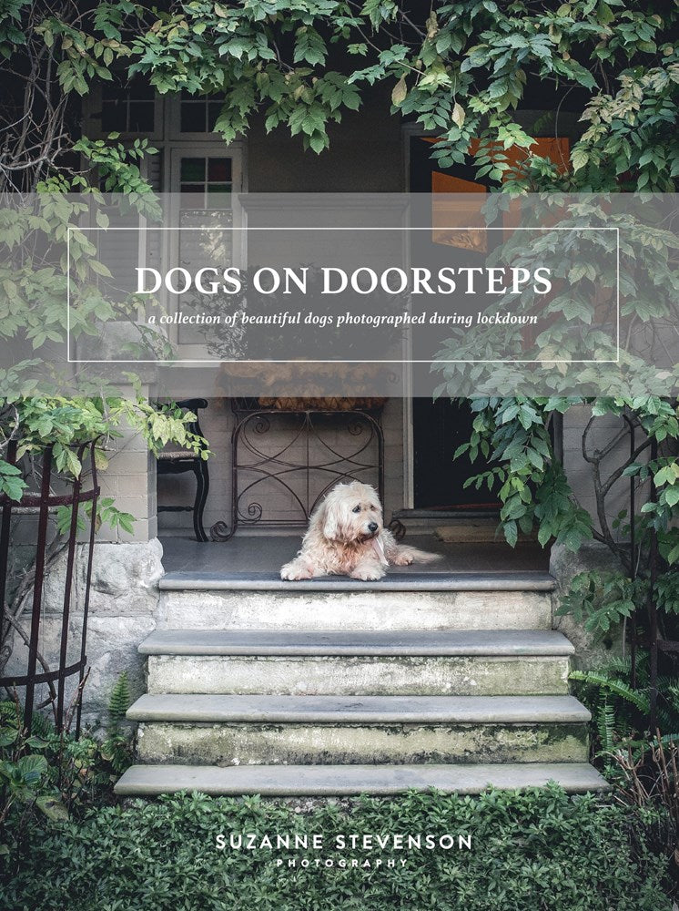 Dogs on Doorsteps