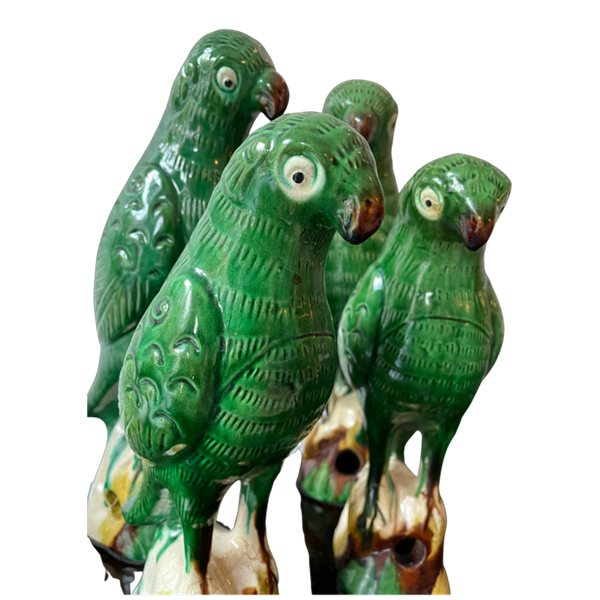 Green Parrots