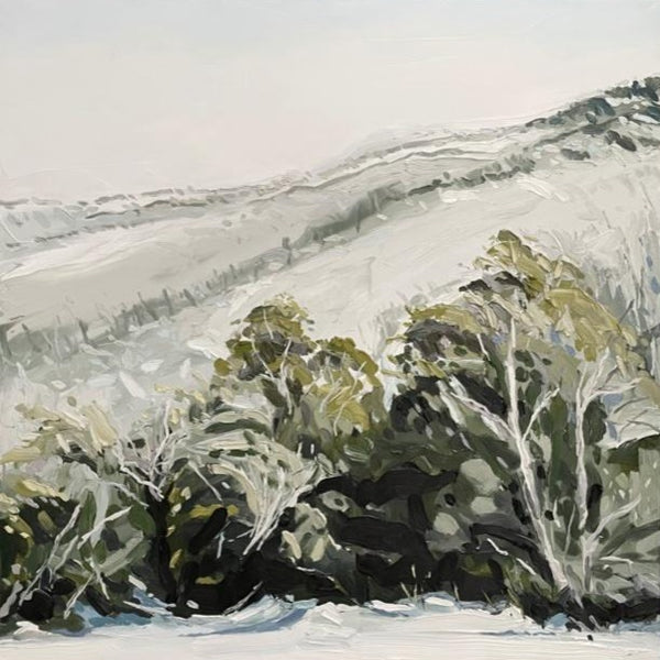 Julz Beresford - "The View to Jindabyne"