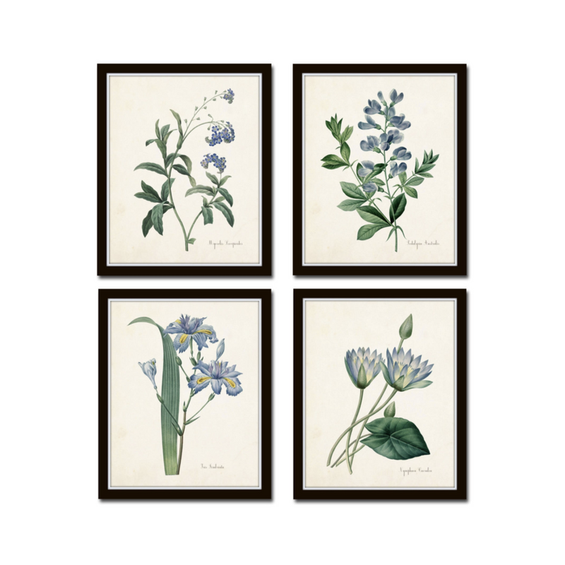 Blue Botanicals Set of 4